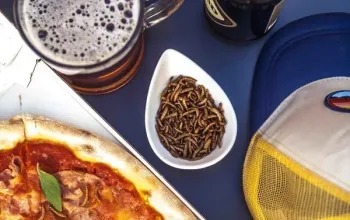 Domácí degustace piva s pivovarem Podlesí: Pivní speciály "pro ni a pro něj" + bedna 6 druhů piva – dárek a zážitek