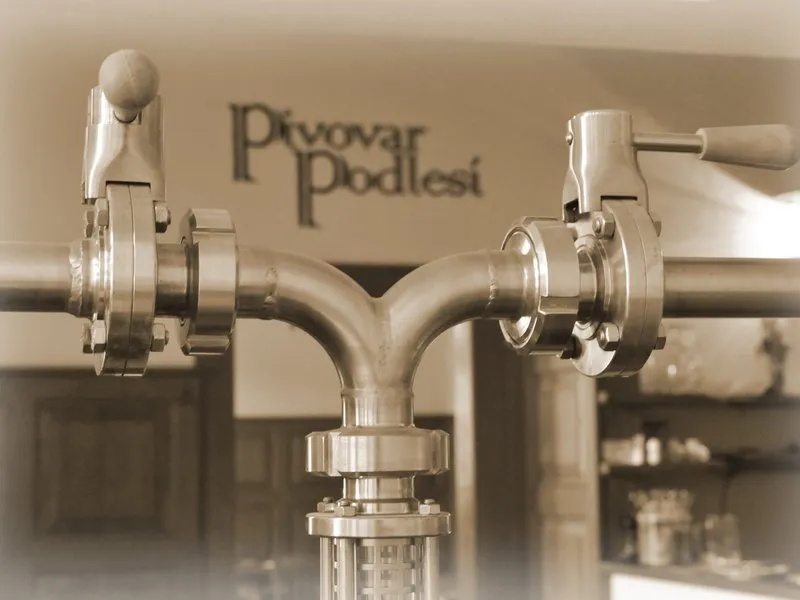 Domácí degustace piva s pivovarem Podlesí: Pivní speciály "pro ni a pro něj" + bedna 6 druhů piva