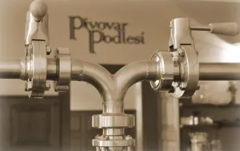 Domácí degustace piva s pivovarem Podlesí: Pivní speciály "pro ni a pro něj" + bedna 6 druhů piva