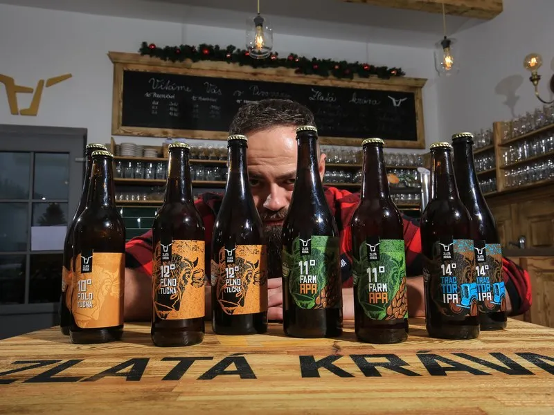 Domácí degustace piva s pivovarem Zlatá Kráva: Průřez pivními styly pro pivní nadšence + bedna 10 druhů piva