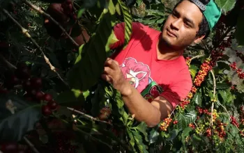 Online kurz přípravy kávy s pražírnou DOUBLESHOT + 5 druhů špičkové kávy + sada na přípravu kávy + kvalitní mlýnek