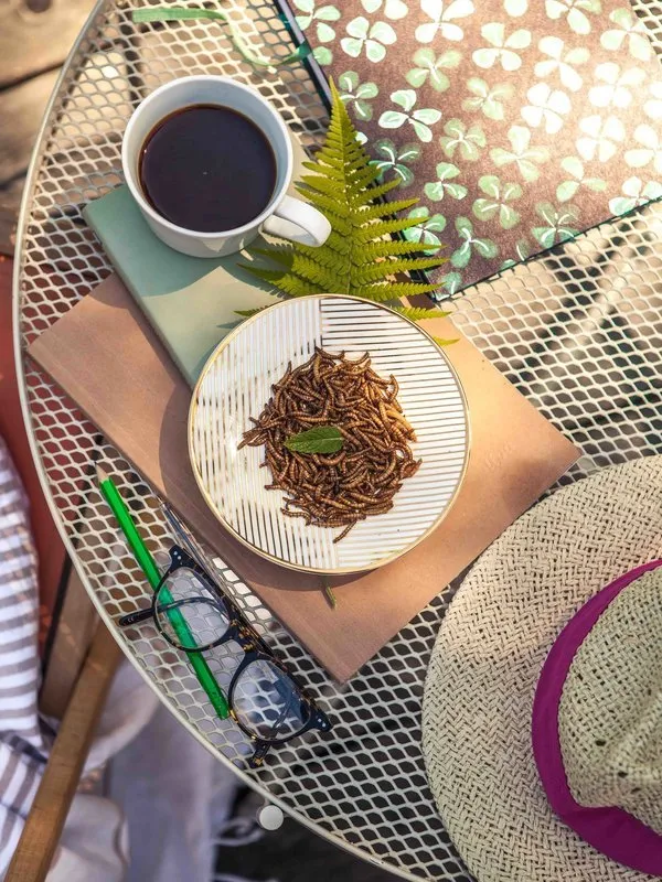 Domácí degustace čokolády + Čokoládový balíček pro všechny čokoholiky