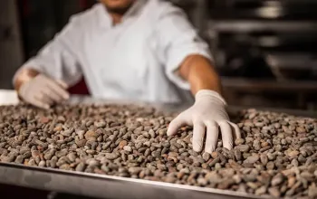 Domácí degustace čokolády + Čokoládový balíček pro všechny čokoholiky