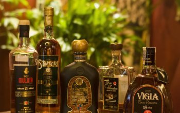 Domácí degustace rumů + 4 druhy kvalitního rumu a…
