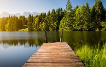 Jak na fotobanku Shutterstock: Naučte své fotky…