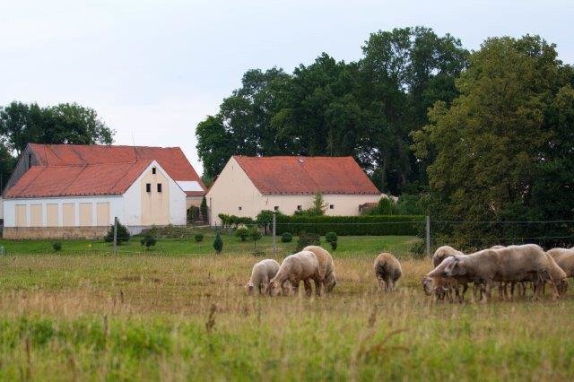 Farmářem na zkoušku - dvoudenní pobyt na statku + péče o zvířata
