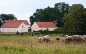 Farmářem na zkoušku - dvoudenní pobyt na statku + péče o zvířata