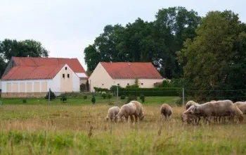 Farmářem na zkoušku - dvoudenní pobyt na statku + péče o zvířata Farmářem na zkoušku - dvoudenní pobyt na statku + péče o zvířata – dárek a zážitek