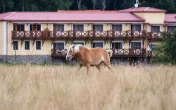 Wellness pobyt na statku Stein — třídenní odpočinek s polopenzí pro dva