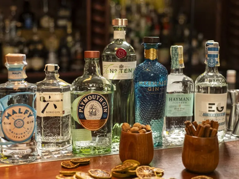 Degustace gin & tonic