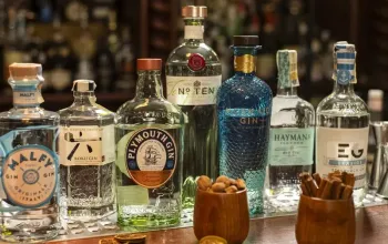 Degustace gin & tonic
