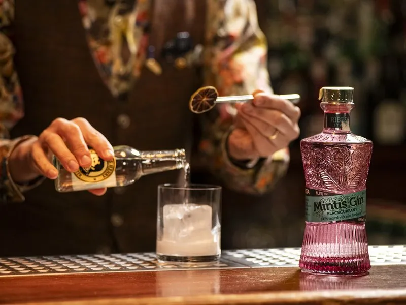 Degustace gin & tonic