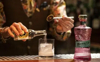Degustace gin & tonic