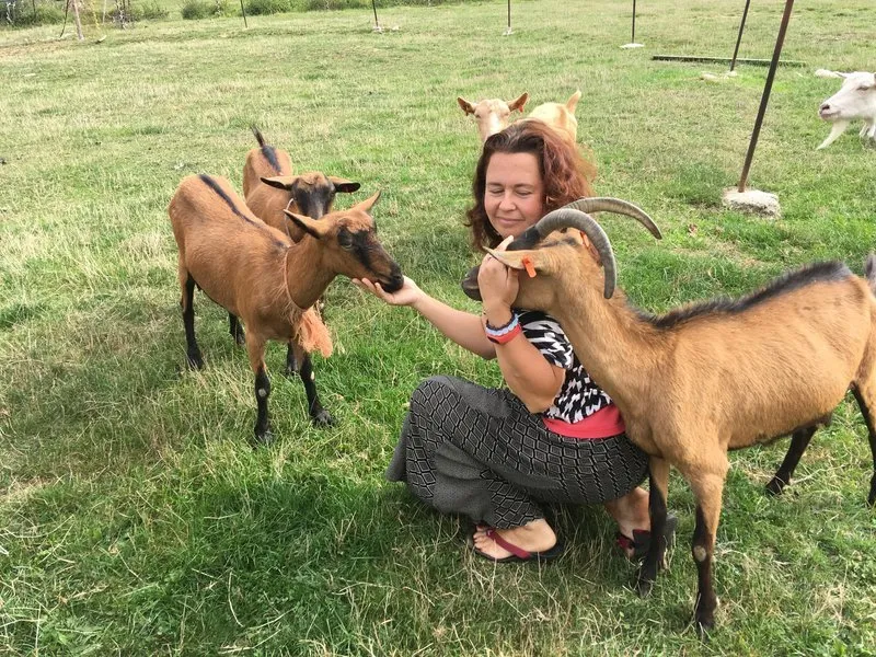 Na dva dny farmářem na Farmě Košík