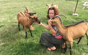 Na dva dny farmářem na Farmě Košík