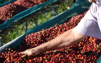 Dárkový balíček pěti druhů kávy s pražírnou DOUBLESHOT + videodegustace s baristkou