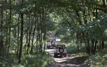 Land Rover off-road - celodenní trénink