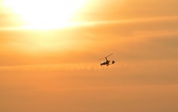 Pilotem vírníku na zkoušku