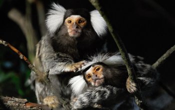 Individuální fotokurz Praha