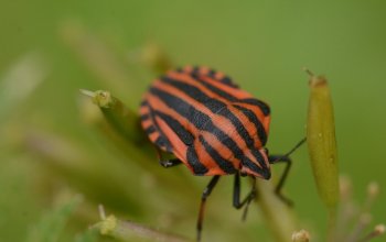 Individuální fotokurz