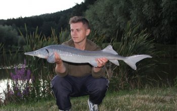 Rybaření na soukromém rybníku