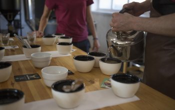 Degustace kávy a cupping