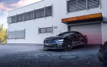 Jízda v supersportu Ford Mustang V8 55th Anniversary Edition