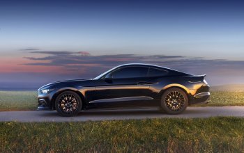 Jízda v supersportu Ford Mustang V8 55th Anniversary Edition