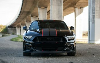 Jízda v supersportu Ford Mustang V8 55th Anniversary Edition
