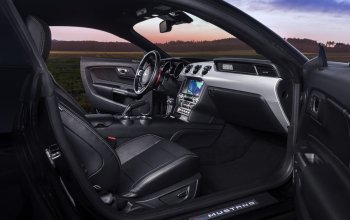Jízda v supersportu Ford Mustang V8 55th Anniversary Edition