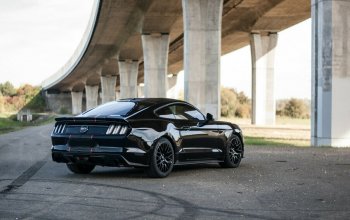 Jízda v supersportu Ford Mustang V8 55th Anniversary Edition