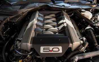 Jízda v supersportu Ford Mustang V8 55th Anniversary Edition