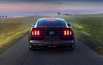 Jízda v supersportu Ford Mustang V8 55th Anniversary Edition
