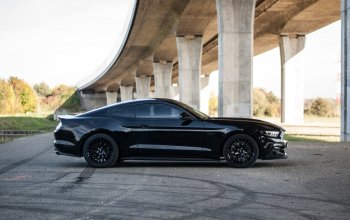 Jízda v supersportu Ford Mustang V8 55th Anniversary Edition