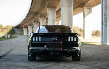 Jízda v supersportu Ford Mustang V8 55th Anniversary Edition