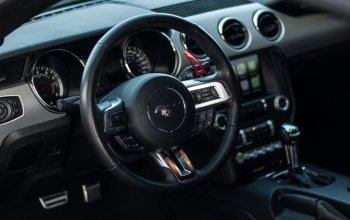 Jízda v supersportu Ford Mustang V8 55th Anniversary Edition