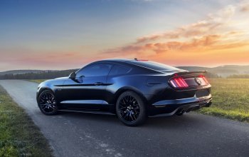 Jízda v supersportu Ford Mustang V8 55th Anniversary Edition