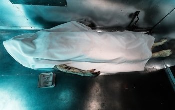 Úniková hra Márnice - souboj