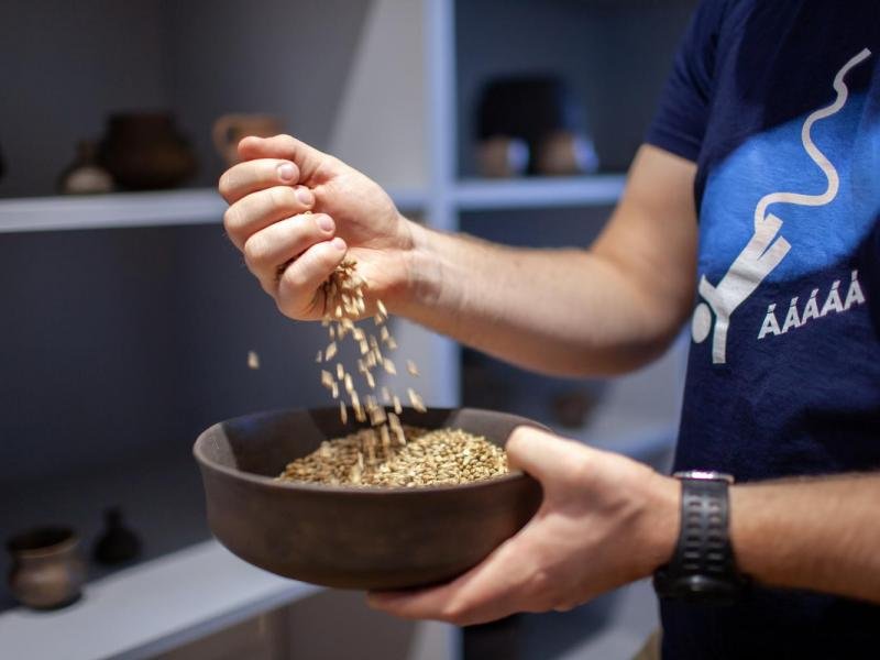 Dobrodružná hra Arcana na Zámku Svijany