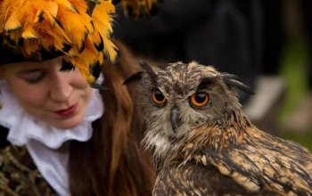 Kurz sokolnictví na zámku Sychrov