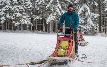 Mushing - jízda se psím spřežením