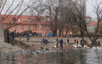 Plavba na lodi pražskými Benátkami Praha