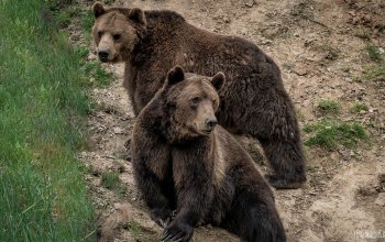 Ošetřovatelem v zoo na jeden den