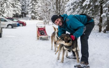 Mushing - jízda se psím spřežením Vysočina