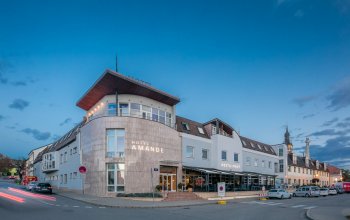 Vinařský pobyt v hotelu Wine Wellness Hotel Amande