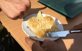 Včelařem na zkoušku