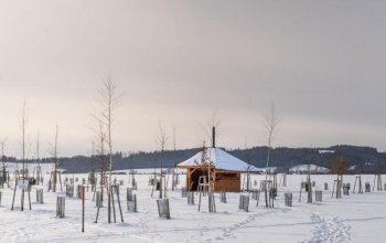 Ubytování v tree housu s vlastní saunou