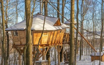 Ubytování v tree housu s vlastní saunou
