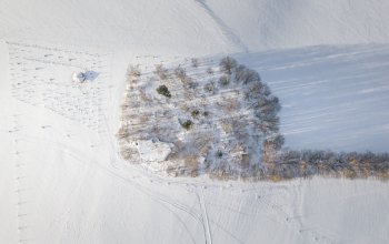 Ubytování v tree housu s vlastní saunou