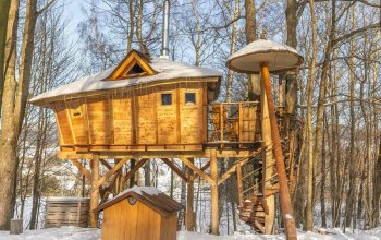 Ubytování v tree housu s vlastní saunou